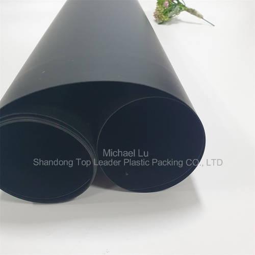 High quality black rigid PP film for food tray