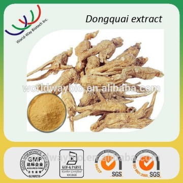 GMP factory supply Dong quai extract /dong quai extract powder with 1% Ligustilide by HPLC