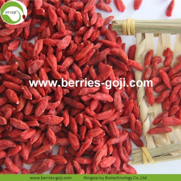 Wholesale Nutrition Healthy Eu Standard Goji Berry