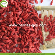 Toptan Beslenme Sağlıklı Eu Standart Goji Berry