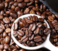 Commercial Creamy House Blend