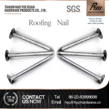 Supply laying roofing felt nails polyester roofing felt nails