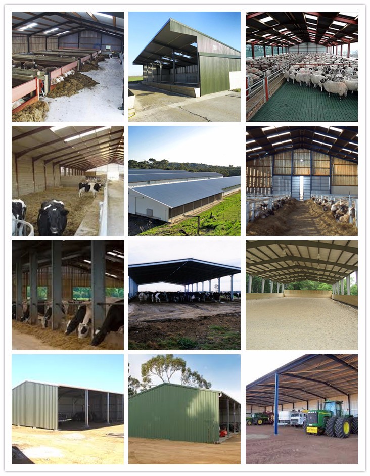 China Fast Install Metal Framed Steel Structure Prefabricated Warehouse