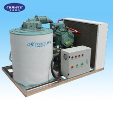Flake Ice Machine: Flake Ice Maker & Ice Flake Machine