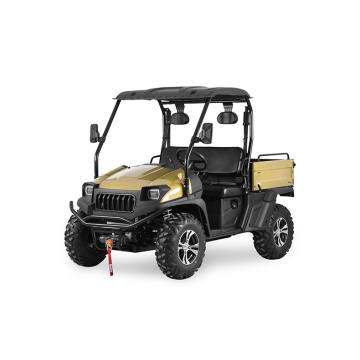 2 Sitzer 4x4 UTV 1000cc UTV mit EPA