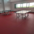 Pisos de la cancha de tenis de mesa --- ITTF