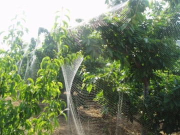 Protection Against Birds