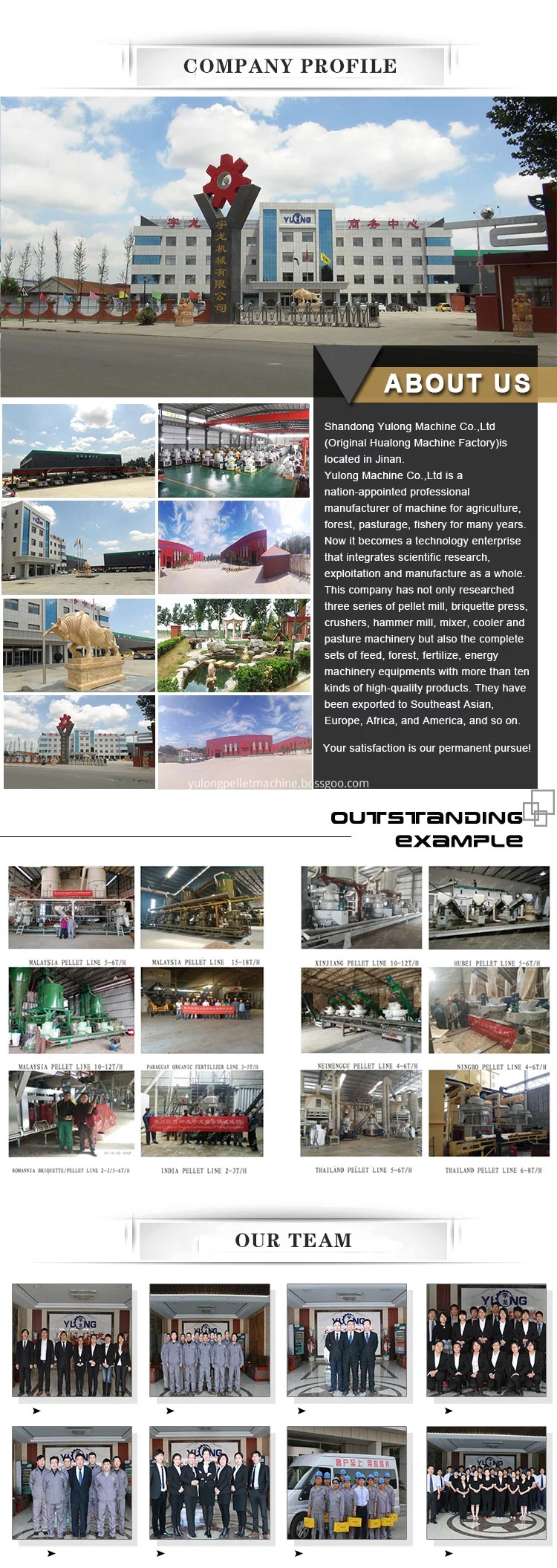 Chicken Manure Fertilizer Pellet Making Machine Chicken Manure Fertilizer Pellet Making Machine