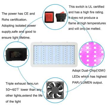 Volles Spektrum Dual Chip 10W*120 LED Wachsen Licht