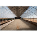 Skyplant Light Greenhouses