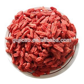 Super Goji berry /Goji berry extract for health care products