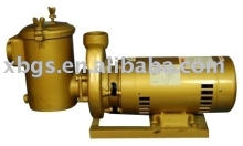 CP Series Brass Pump