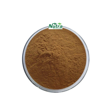 100% Natural Organic Codonopsis Pilosula Extract Powder