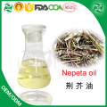 Best Selling Natural Nepeta oil Weeping forsythia oil