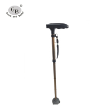 hiking cane walking stick Carved Wood Walking stick