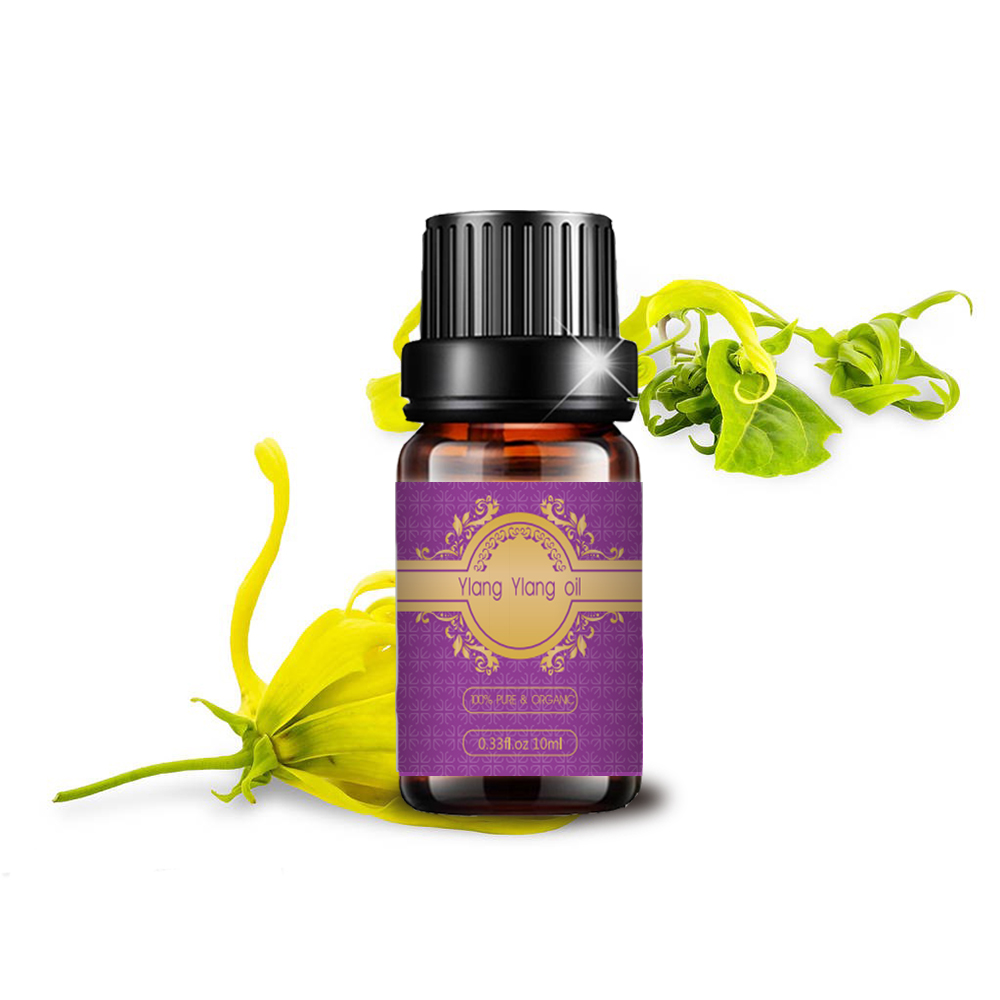 أفضل جودة عضوية 100 ٪ نقية Ylang Ylang Oil