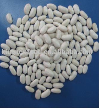 China white bean baishake type