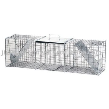 Live Raccoon Trap