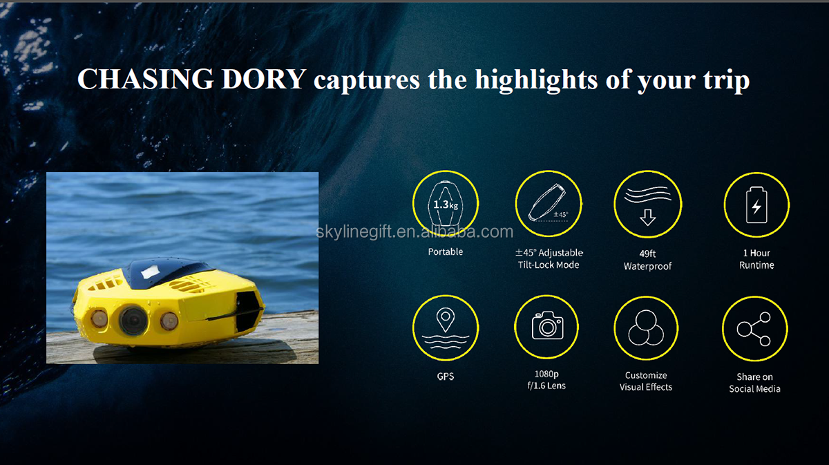 Underwater Drone CHASING DORY Underwater photos and videos for underwater exploration