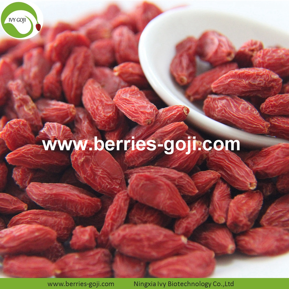 Geringe Pestizid-Goji-Beere Low Pesticide Goji Berry