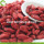 En gros doux sec faible Pesticide Goji Berry