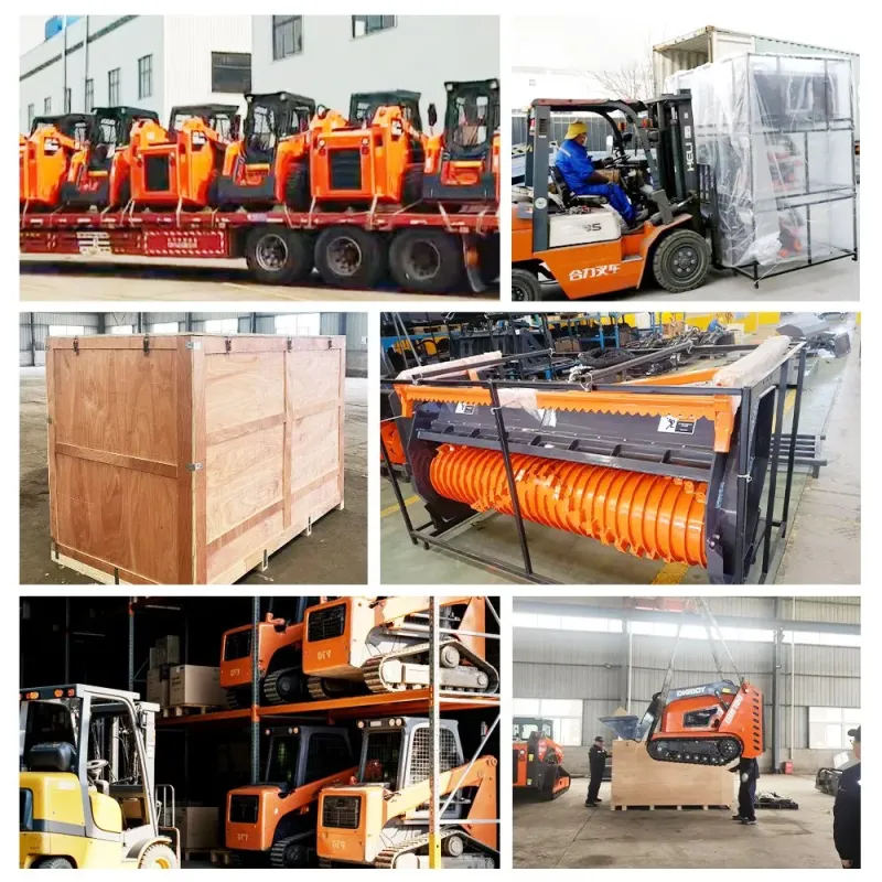 China Famous Brand Mini Loader