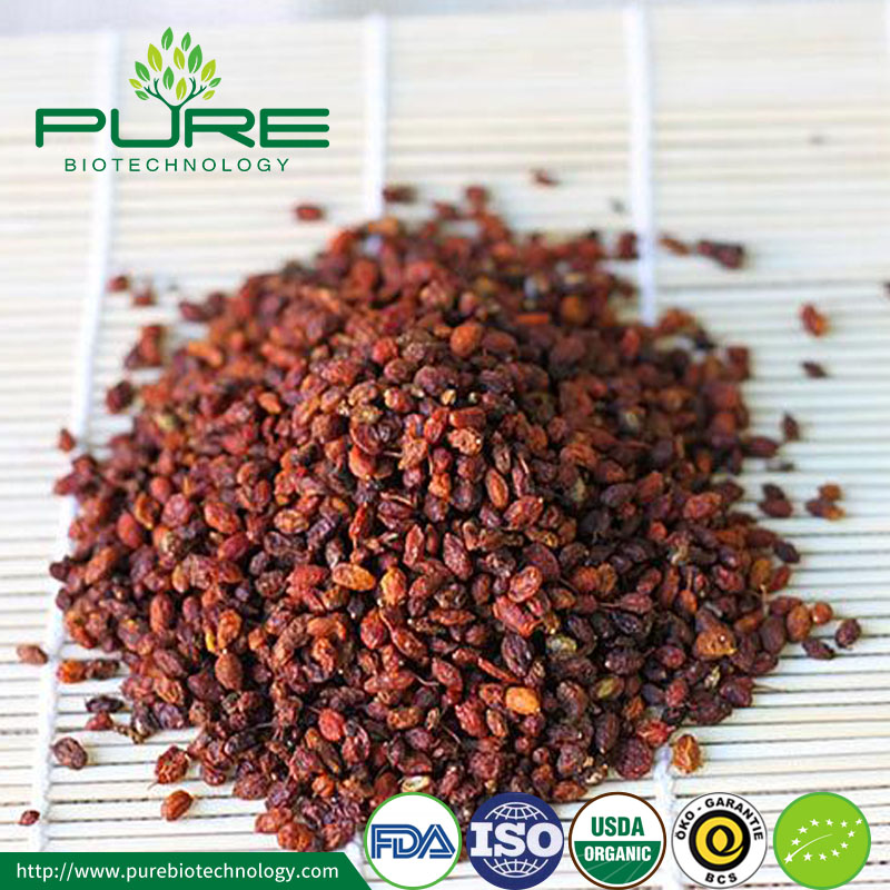 حار بيع العضوية النبق البحر التوت مع انخفاض السعر Hot selling organic sea buckthorn berry with low price