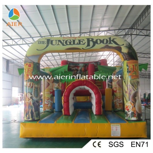 jumbo water slide inflatable water slide giant/water slide pump