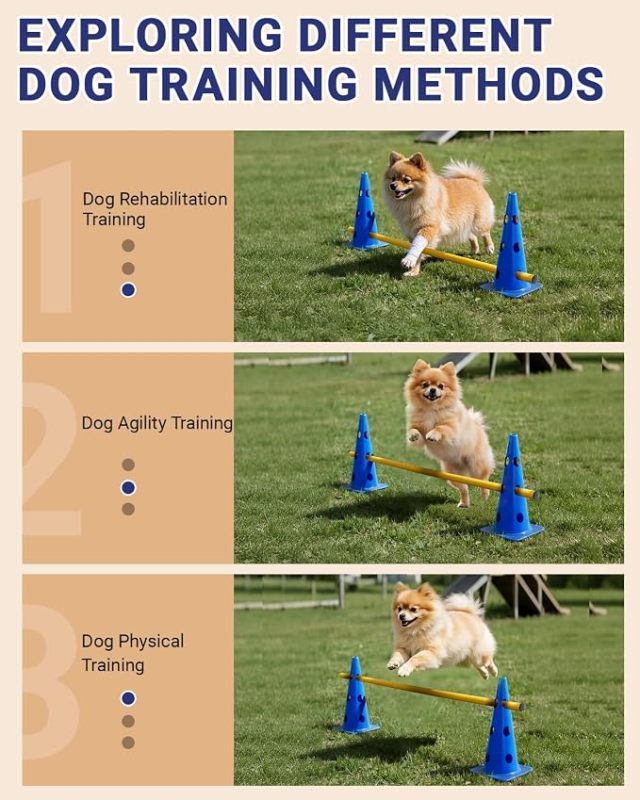 Adjustable Dog Agility Hurdle Cone Set for Recovery