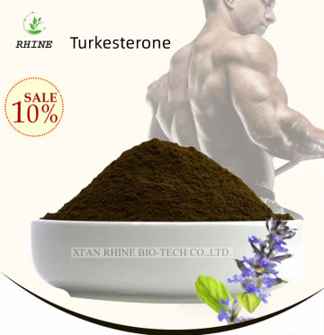 Cyanotis Arachnoides Extract Powder 41451-87-0 Turkesterone