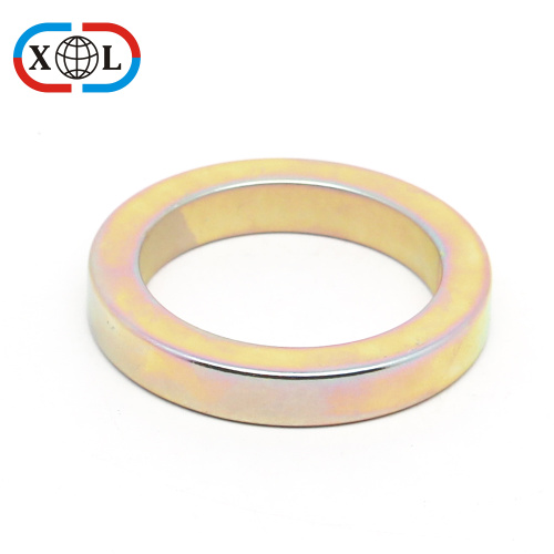 Radial Ring Magnet For Motor Product