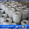 High Quality galvanized Welded Wires Mesh