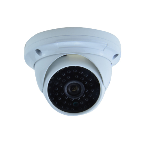 Dummy Vandal-Proof Outdoor CCTV Camera
