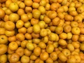 Venda quente no mercado de Bangladesh Baby Mandarin