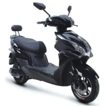 Es-Racer EEC Electric Scooter: E-Scooter and Electric Motorcycle Solutions