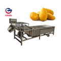 Fish Washer Machine Root Vegetable Washer Machine