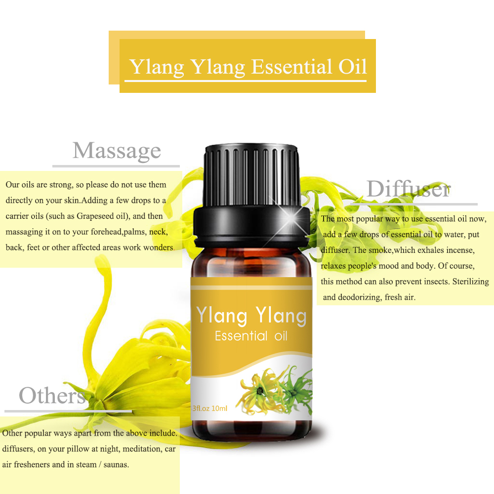 Óleo essencial natural de Ylang Ylang para massagem de aromaterapia