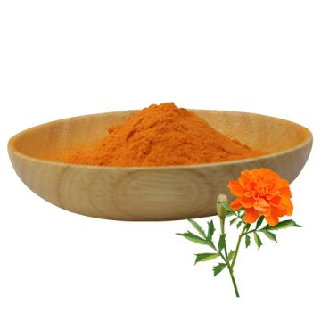 Calendula Officinalis Flower Marigold Flower Extract Lutein