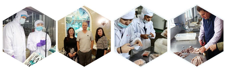 Zamrożony ugotowany małże małże w skorupce