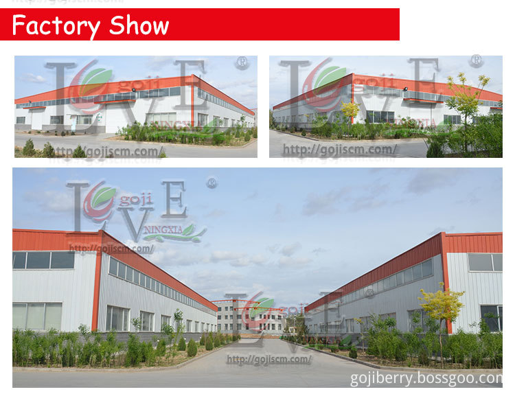 Conventional Goji Berries factory show