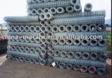 Electro Galvanized Welded Wire Netting(Factory&Exporter)