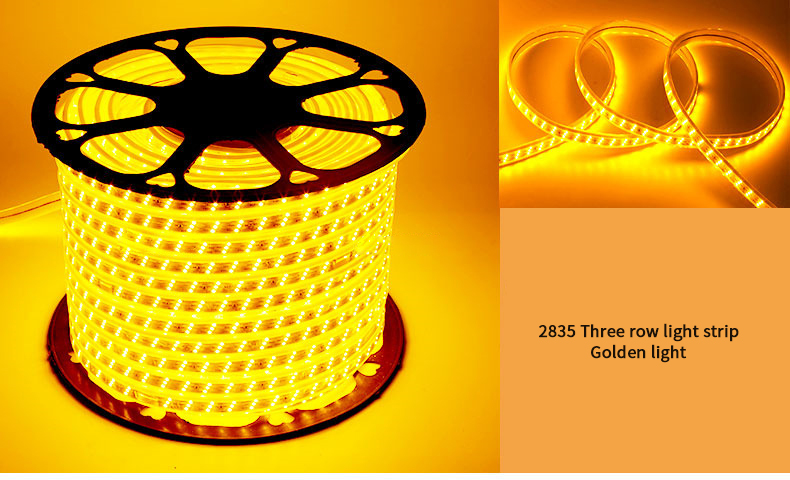 220V RGB 5050 Led Strip Flexible light Waterproof IP67 APP control Led Rope Light