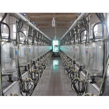 Customized parallel goat milking parlor