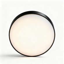 App controlled ceiling lighting