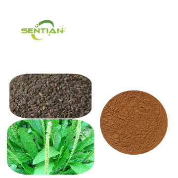 psyllium husk extract powder