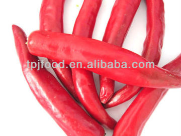 Frozen Red Jinta Chilli