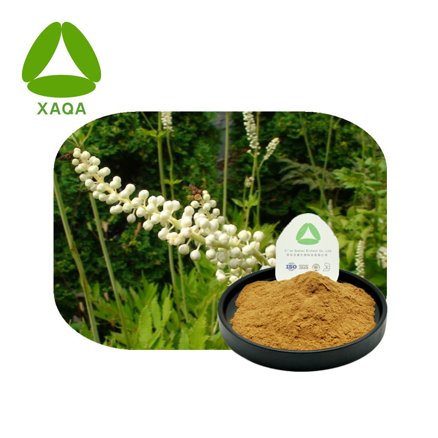 Extrato de cohosh preto natural saponinas triterpenóides 5% em pó