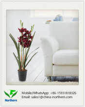 64cm Artificial Orchid in Plastic Pot