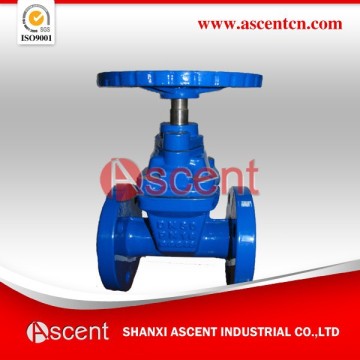 Ansi Cast Iron Gate Valve