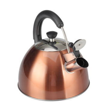 Hot Sell Stainless Steel Whistling Kettle